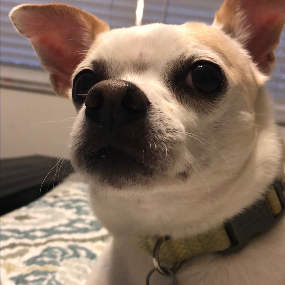 Meet your Posher, Mikaela